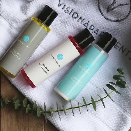 Visionapartments Chemin Des Epinettes - Contactless Check-in Apartment *